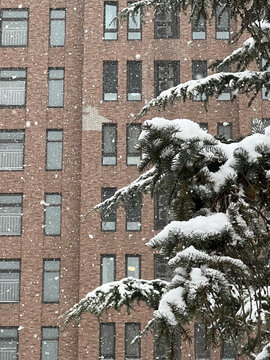 大风雪北京寒冷天气雪