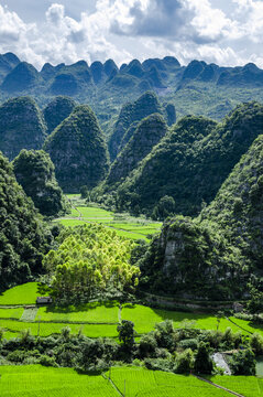 万峰林