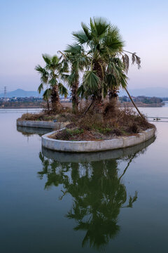 水中的小岛