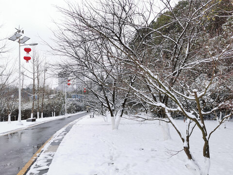 公园一角雪景