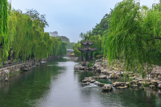 山东济南护城河