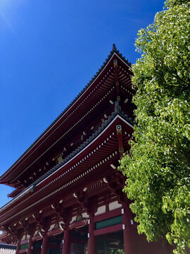 东京旅游地标浅草寺