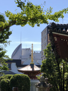 东京浅草寺写经供养塔