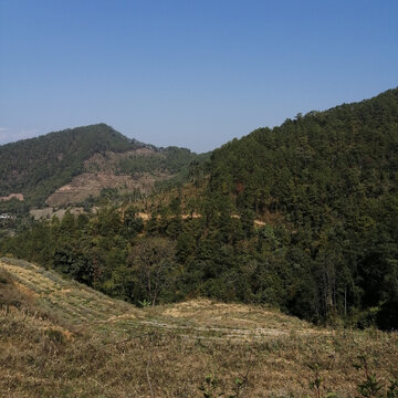 乡村风景