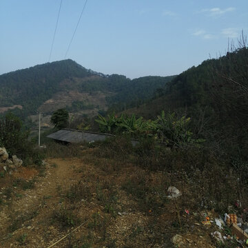 乡村风景