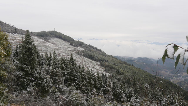 山林雪景