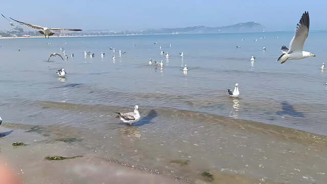 青岛蓬莱海边