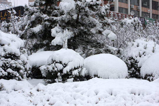 雪景