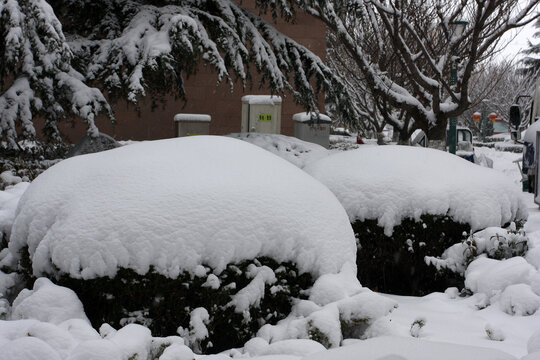 雪景