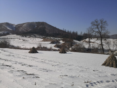 雪后山丘上的庄稼地