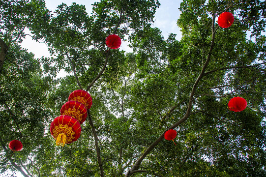 春节挂饰红灯笼