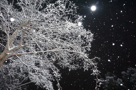 夜晚雪天