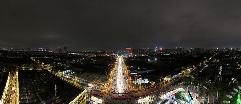 二四年陈村迎春花市夜色