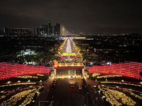 二四年陈村迎春花市夜色