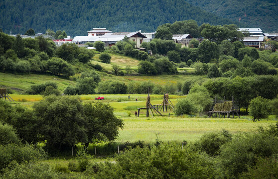 香格里拉田园风光