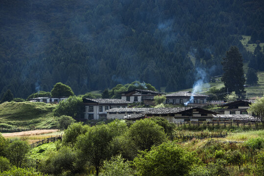 鲁朗的田园风光