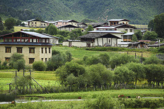 香格里拉藏区美景