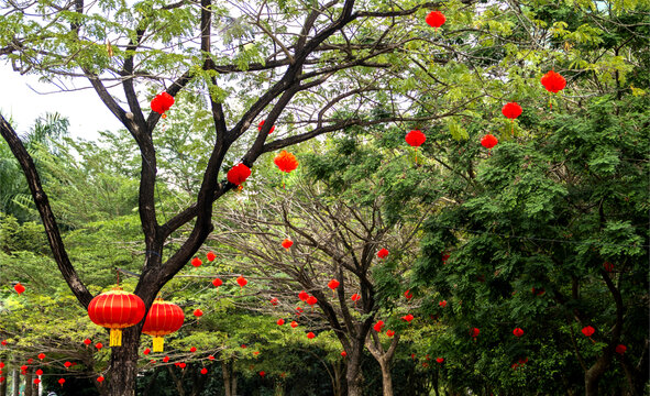 春节挂饰红灯笼