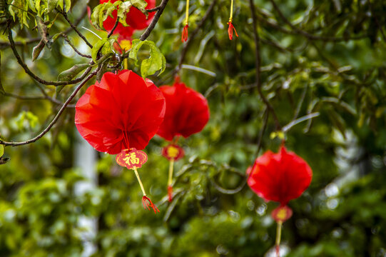 春节挂饰红灯笼