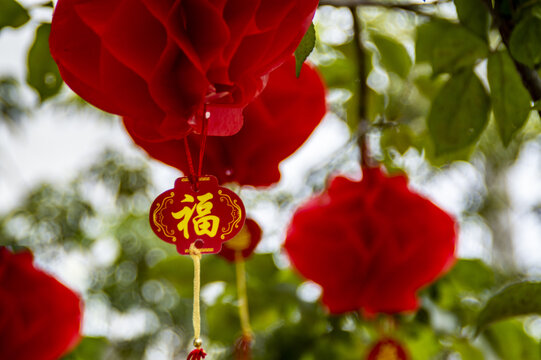 春节挂饰红灯笼