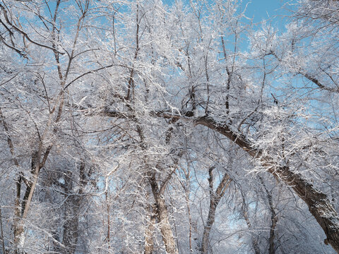 冬天雪景