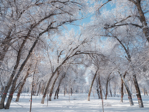 冬天雪景