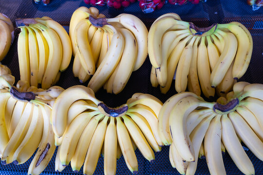 香蕉水果摊