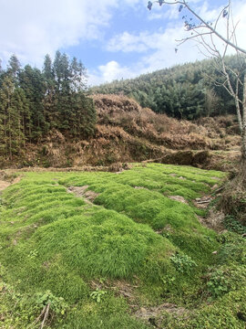 高山高原