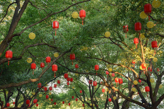 节日氛围树上挂满红灯笼和彩灯