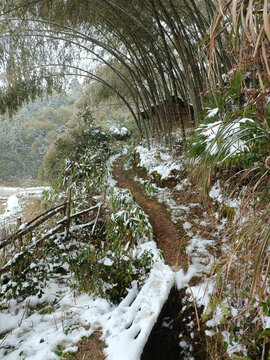 雪后上山路