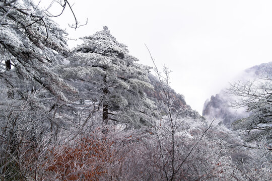 游览黄山景区欣赏奇峰云海等美景