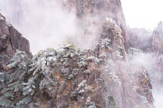 游览黄山景区欣赏奇峰云海等美景