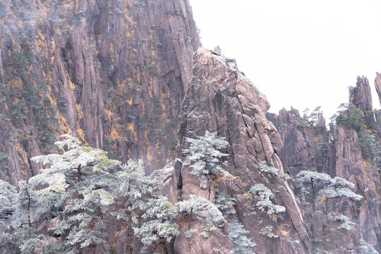 游览黄山景区欣赏奇峰云海等美景