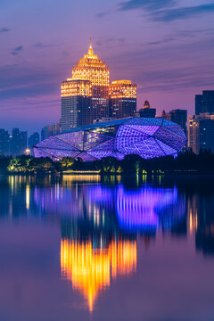 中国辽宁沈阳五里河城市地标夜景