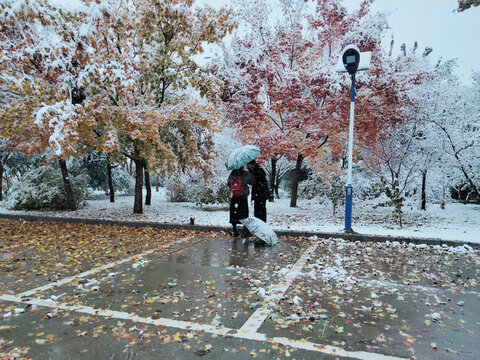 雪地里的甜蜜瞬间