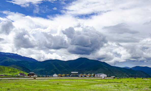 云南纳帕海草原