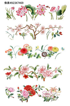 手绘古典花卉5组