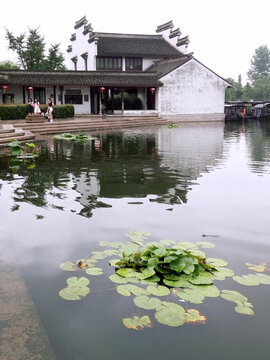 水乡旅游