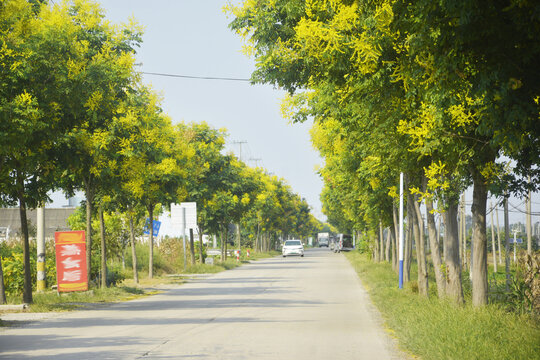 一路花开