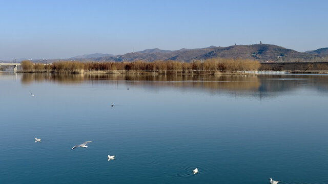 湖面秋景