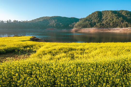 彝山春色