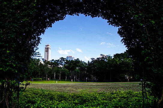 公园绿地草地草坪荔枝公园