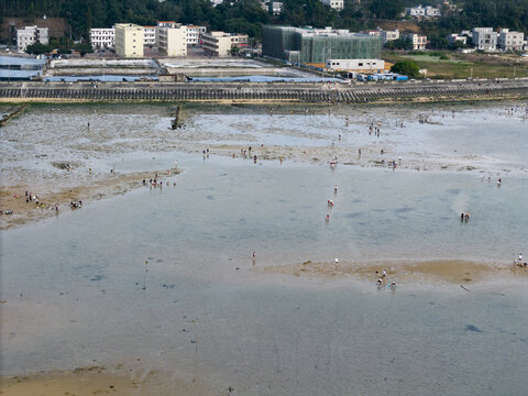 湛江平安广场赶海航拍