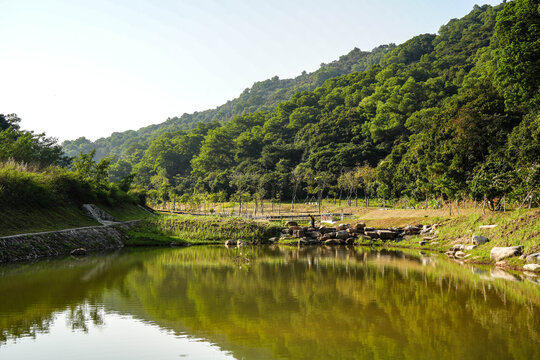 深圳光明郊野公园