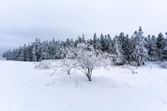 重庆下雪的仙女山