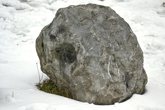 雪地里的石头