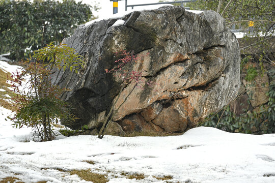 雪天下的岩石