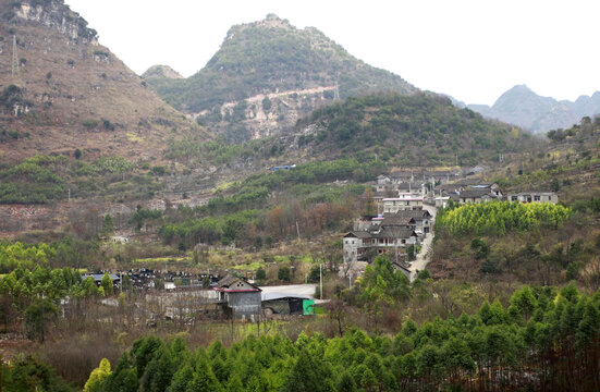 雨补鲁天坑