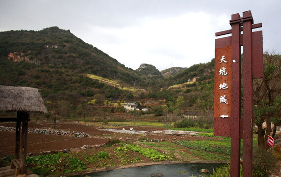 雨补鲁天坑