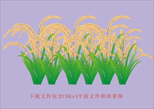 矢量水稻植物稻谷粮食